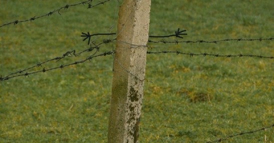Testy Kajetanowicza
